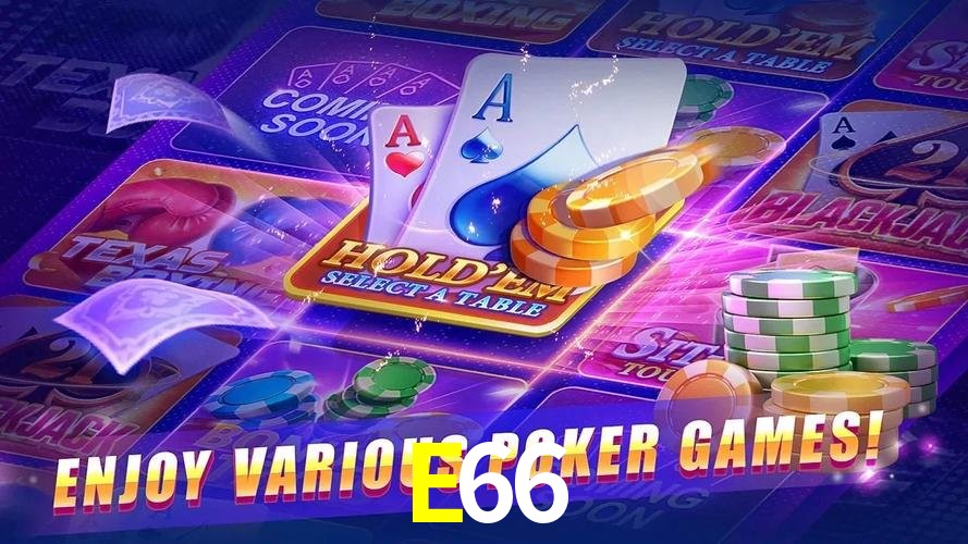 Níveis VIP E66